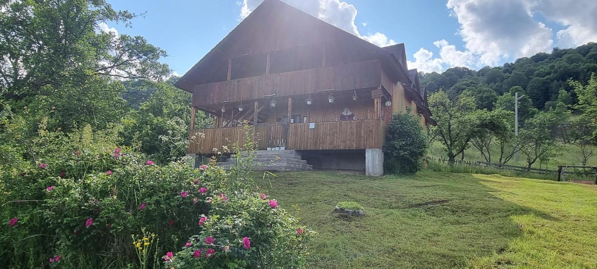 Cabana Suciu Villa Rachitele Exterior foto